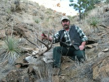 Mule deer hunting in Montana